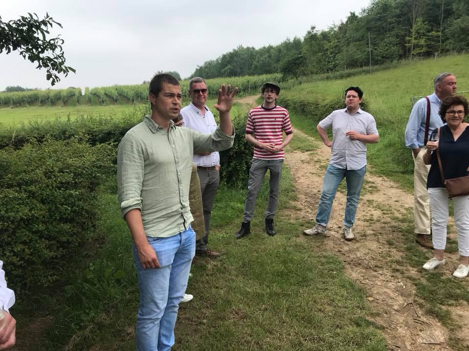 Over Vinteur wijngaard